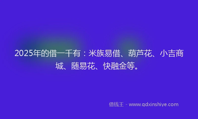 2025年的借一千有：米族易借、葫芦花、小吉商城、随易花、快融金等。