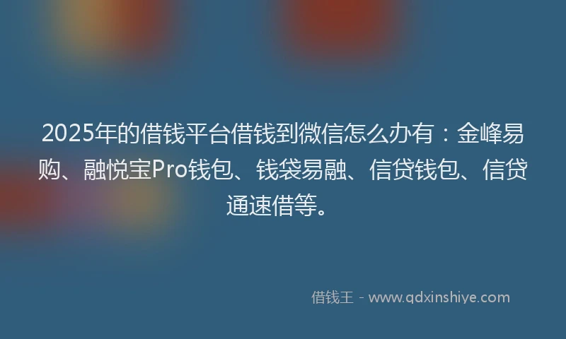 2025年的借钱平台借钱到微信怎么办有：金峰易购、融悦宝Pro钱包、钱袋易融、信贷钱包、信贷通速借等。