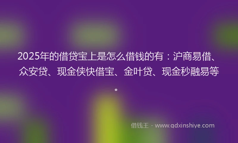 2025年的借贷宝上是怎么借钱的有：沪商易借、众安贷、现金侠快借宝、金叶贷、现金秒融易等。