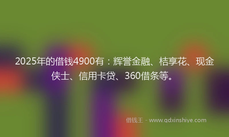 2025年的借钱4900有：辉誉金融、桔享花、现金侠士、信用卡贷、360借条等。