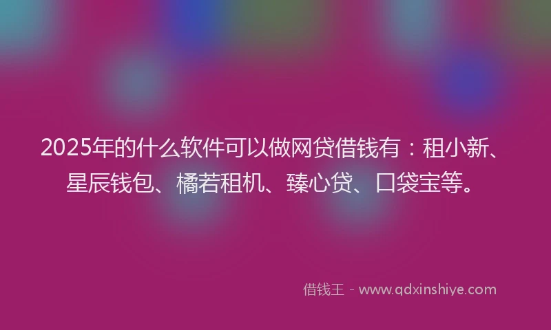2025年的什么软件可以做网贷借钱有：租小新、星辰钱包、橘若租机、臻心贷、口袋宝等。