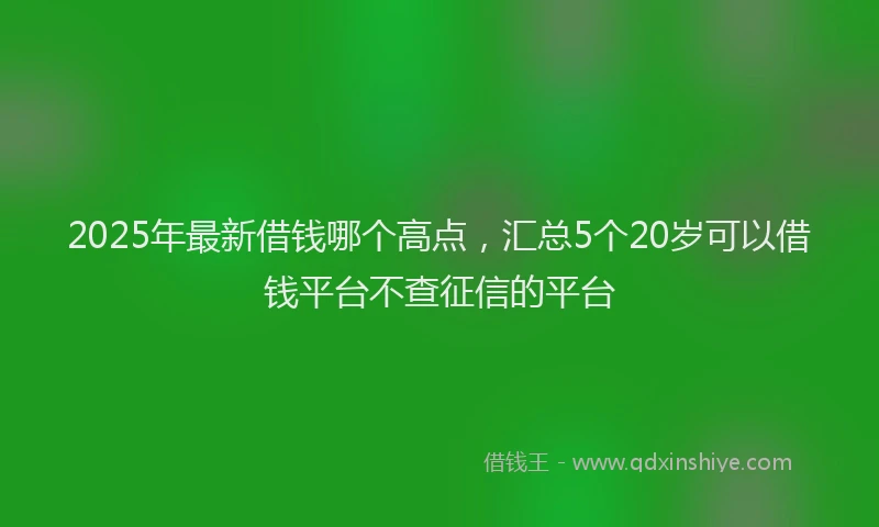 2025年最新借钱哪个高点，汇总5个20岁可以借钱平台不查征信的平台