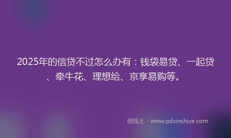2025年的信贷不过怎么办有：钱袋易贷、一起贷、牵牛花、理想给、京享易购等。