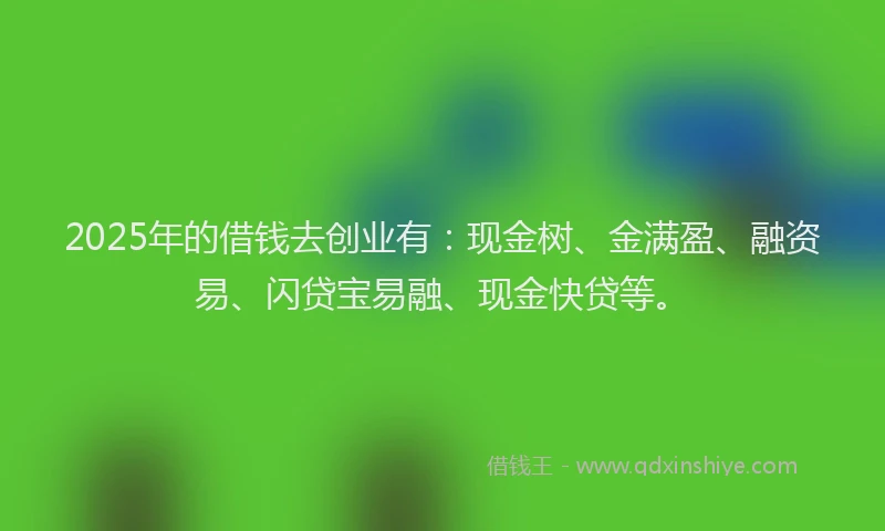 2025年的借钱去创业有：现金树、金满盈、融资易、闪贷宝易融、现金快贷等。