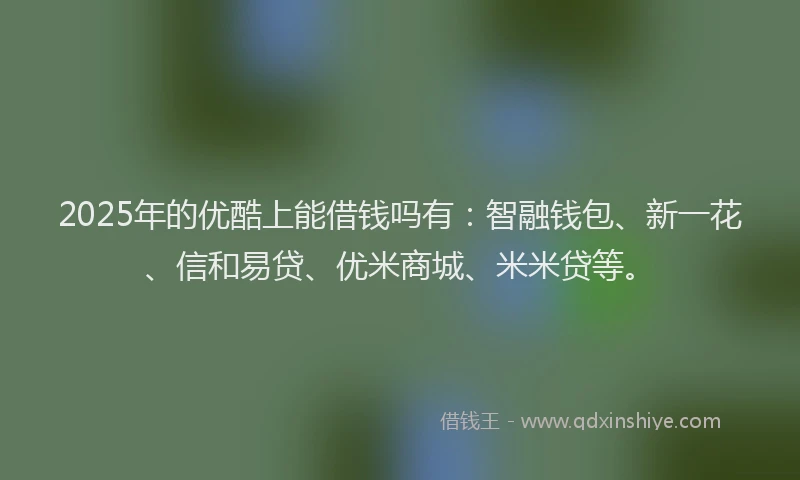2025年的优酷上能借钱吗有：智融钱包、新一花、信和易贷、优米商城、米米贷等。