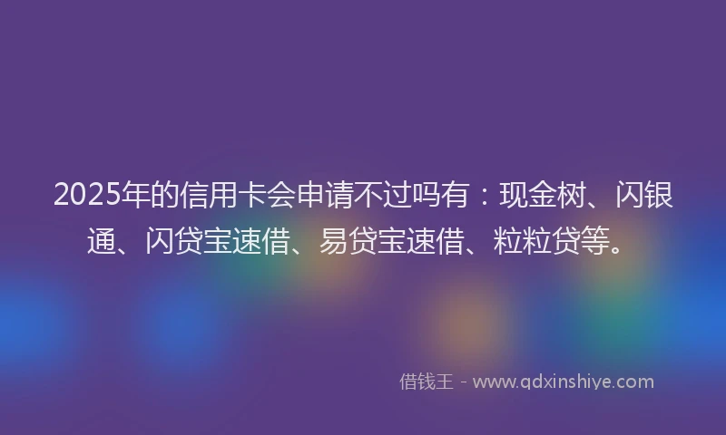 2025年的信用卡会申请不过吗有：现金树、闪银通、闪贷宝速借、易贷宝速借、粒粒贷等。