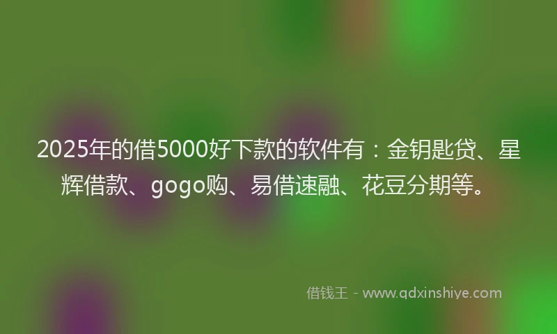 2025年的借5000好下款的软件有：金钥匙贷、星辉借款、gogo购、易借速融、花豆分期等。