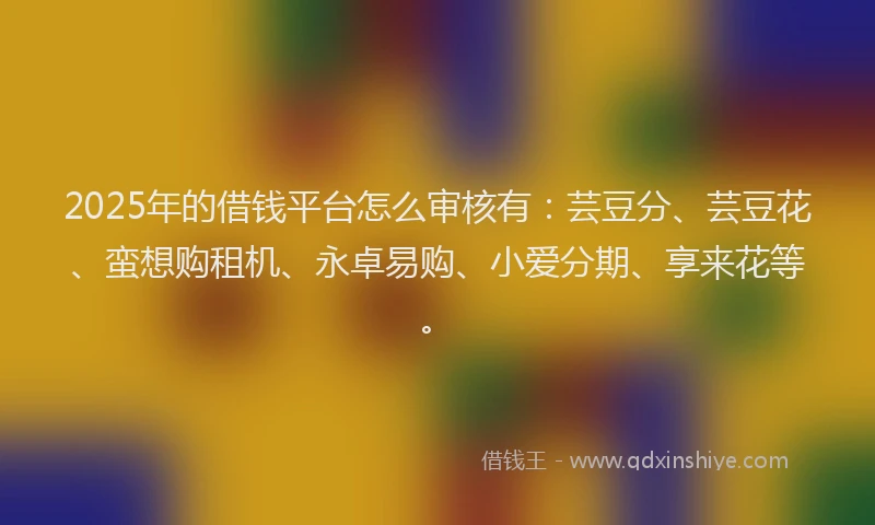 2025年的借钱平台怎么审核有：芸豆分、芸豆花、蛮想购租机、永卓易购、小爱分期、享来花等。