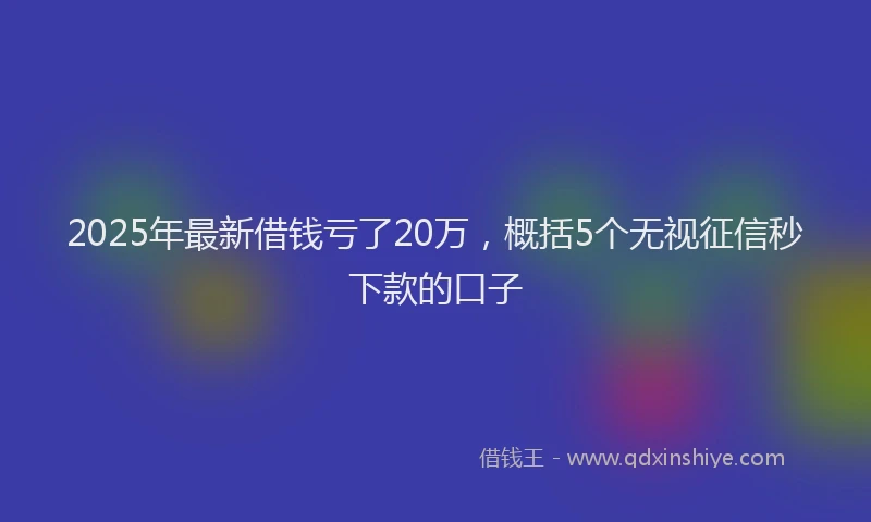 2025年最新借钱亏了20万，概括5个无视征信秒下款的口子