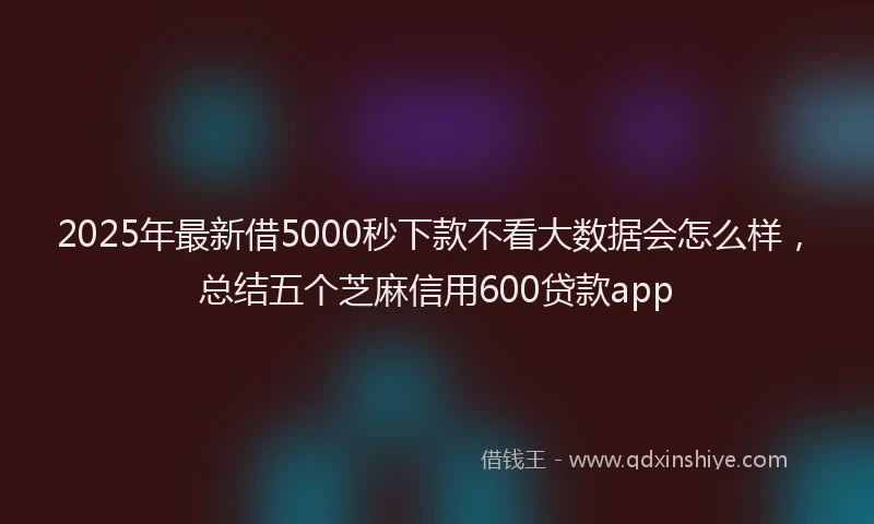 2025年最新借5000秒下款不看大数据会怎么样，总结五个芝麻信用600贷款app