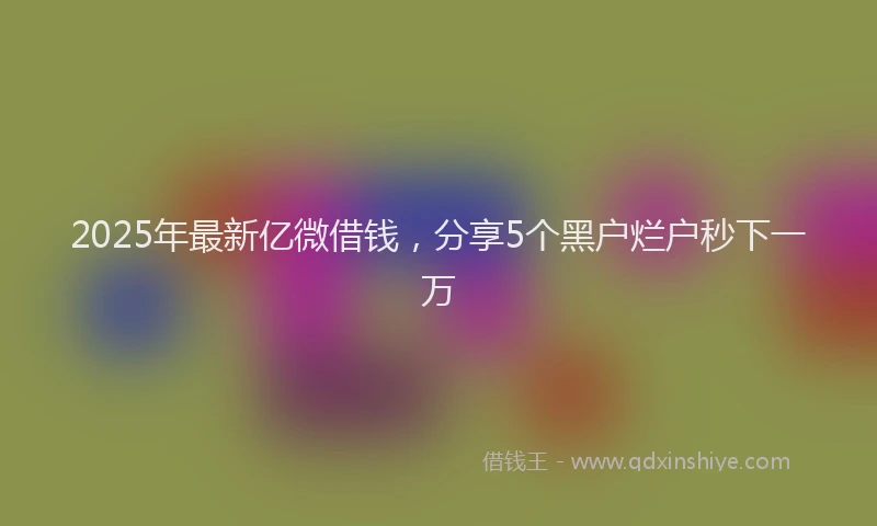 2025年最新亿微借钱，分享5个黑户烂户秒下一万