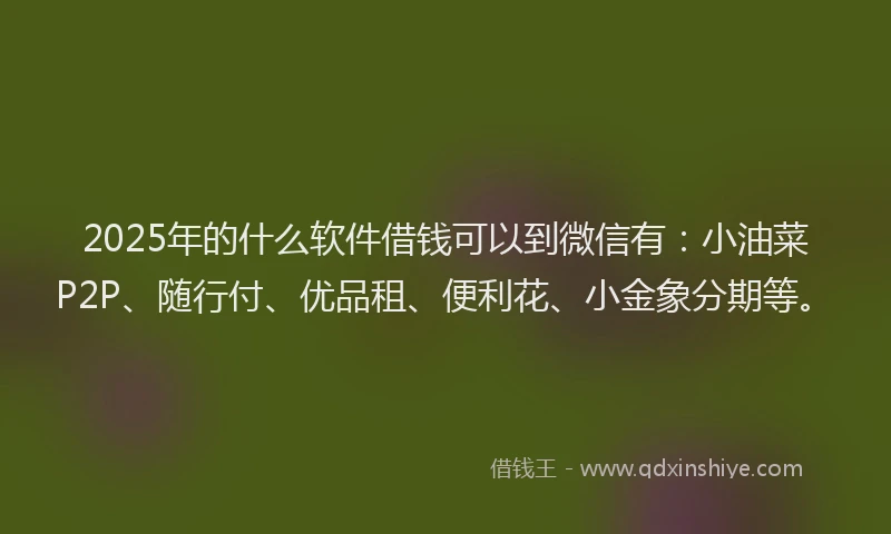 2025年的什么软件借钱可以到微信有：小油菜P2P、随行付、优品租、便利花、小金象分期等。