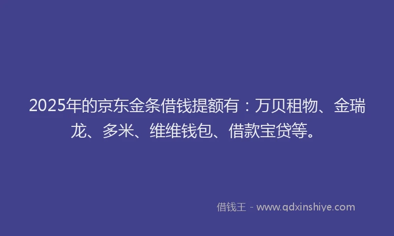 2025年的京东金条借钱提额有：万贝租物、金瑞龙、多米、维维钱包、借款宝贷等。
