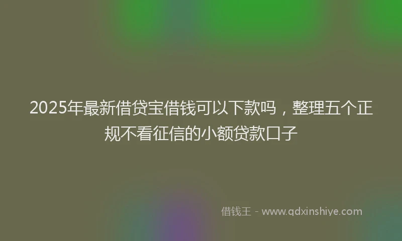 2025年最新借贷宝借钱可以下款吗，整理五个正规不看征信的小额贷款口子