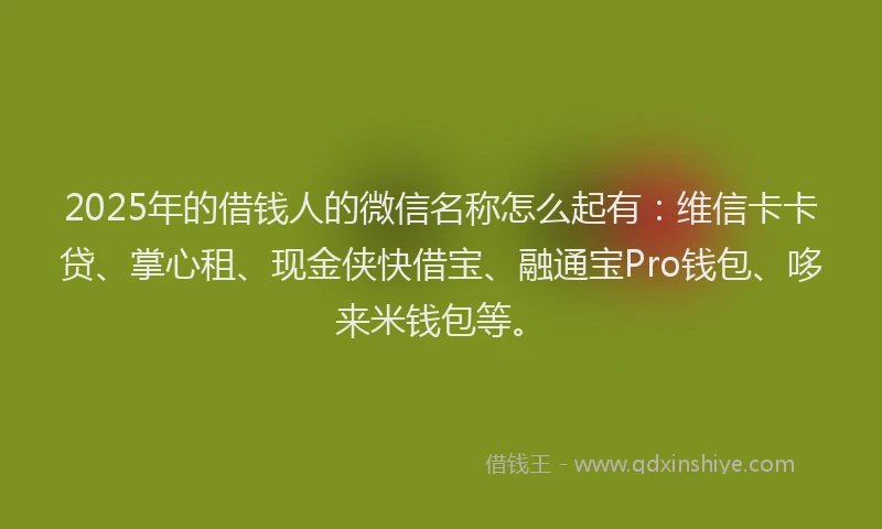 2025年的借钱人的微信名称怎么起有：维信卡卡贷、掌心租、现金侠快借宝、融通宝Pro钱包、哆来米钱包等。