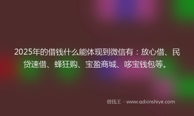 2025年的借钱什么能体现到微信有：放心借、民贷速借、蜂狂购、宝盈商城、哆宝钱包等。