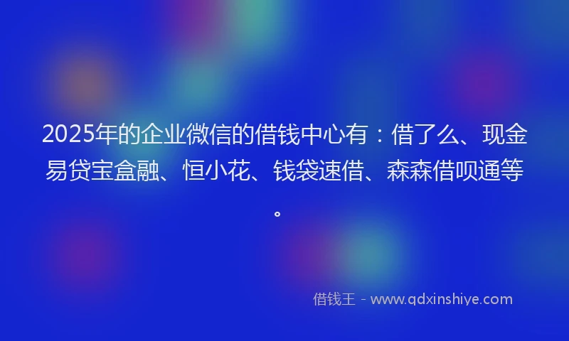 2025年的企业微信的借钱中心有：借了么、现金易贷宝盒融、恒小花、钱袋速借、森森借呗通等。