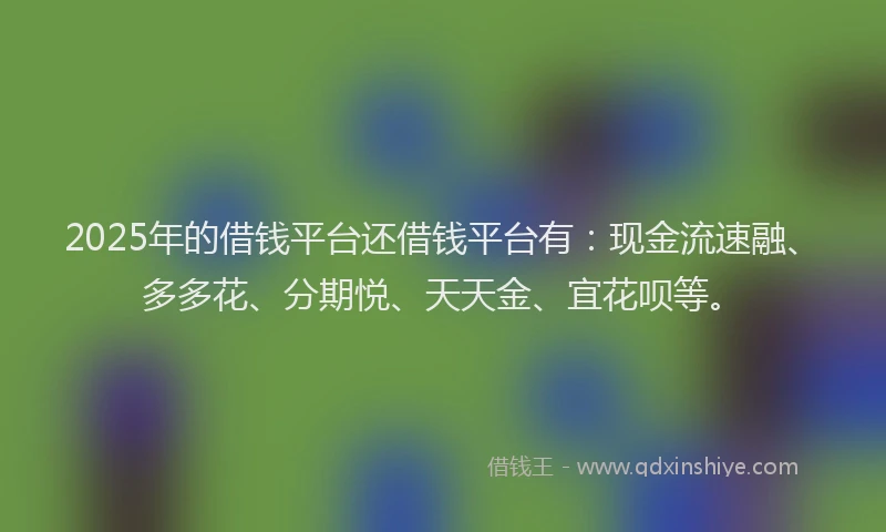 2025年的借钱平台还借钱平台有：现金流速融、多多花、分期悦、天天金、宜花呗等。