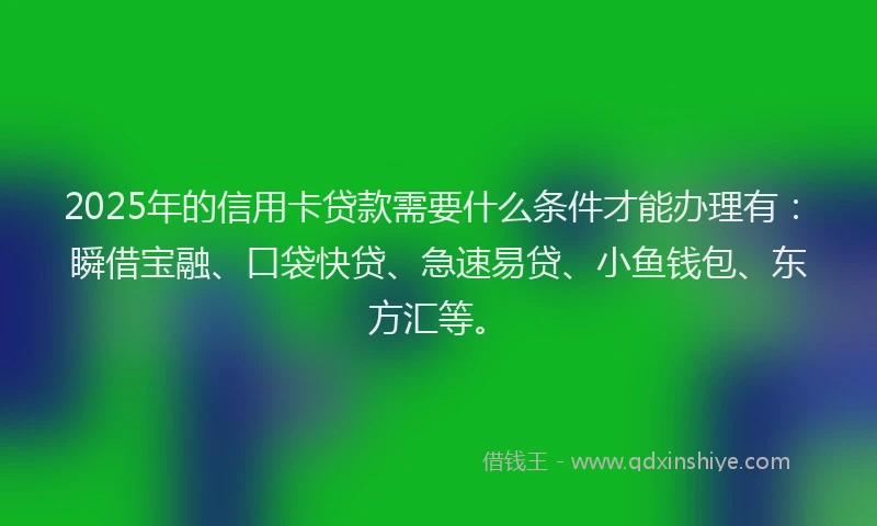 2025年的信用卡贷款需要什么条件才能办理有：瞬借宝融、口袋快贷、急速易贷、小鱼钱包、东方汇等。