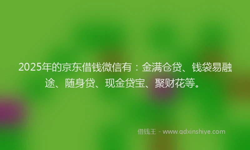 2025年的京东借钱微信有：金满仓贷、钱袋易融途、随身贷、现金贷宝、聚财花等。