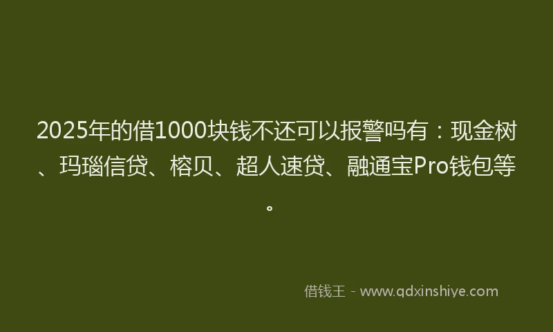 2025年的借1000块钱不还可以报警吗有：现金树、玛瑙信贷、榕贝、超人速贷、融通宝Pro钱包等。