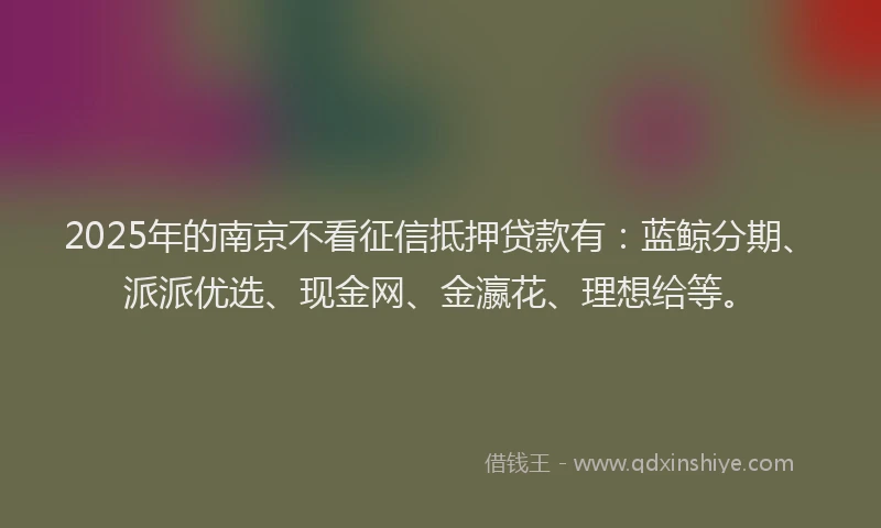 2025年的南京不看征信抵押贷款有：蓝鲸分期、派派优选、现金网、金瀛花、理想给等。