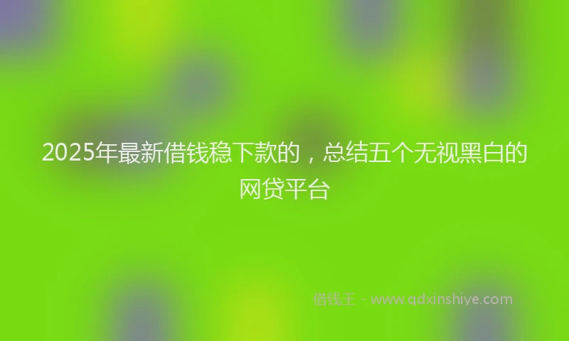 2025年最新借钱稳下款的，总结五个无视黑白的网贷平台