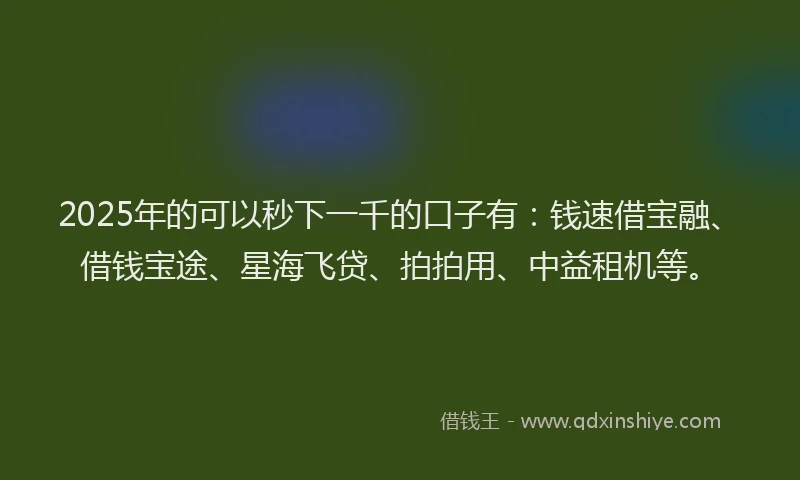 2025年的可以秒下一千的口子有：钱速借宝融、借钱宝途、星海飞贷、拍拍用、中益租机等。