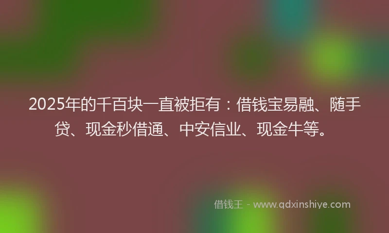 2025年的千百块一直被拒有：借钱宝易融、随手贷、现金秒借通、中安信业、现金牛等。