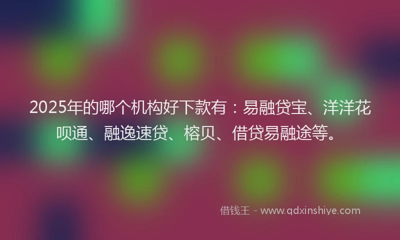 2025年的哪个机构好下款有：易融贷宝、洋洋花呗通、融逸速贷、榕贝、借贷易融途等。