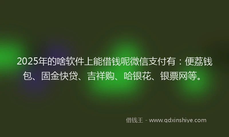 2025年的啥软件上能借钱呢微信支付有：便荔钱包、固金快贷、吉祥购、哈银花、银票网等。