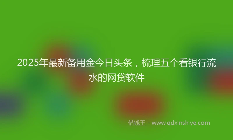2025年最新备用金今日头条，梳理五个看银行流水的网贷软件