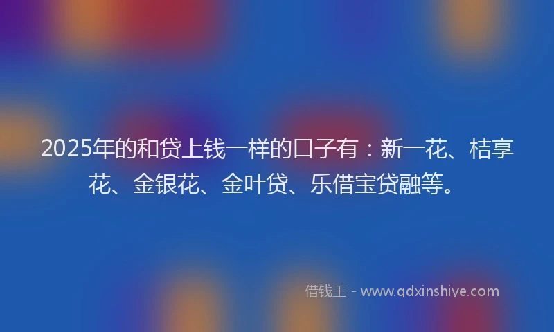 2025年的和贷上钱一样的口子有：新一花、桔享花、金银花、金叶贷、乐借宝贷融等。