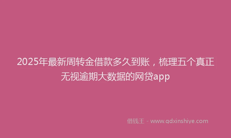 2025年最新周转金借款多久到账，梳理五个真正无视逾期大数据的网贷app