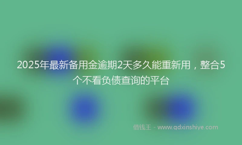 2025年最新备用金逾期2天多久能重新用，整合5个不看负债查询的平台