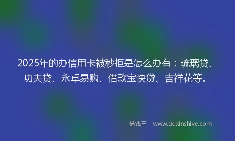2025年的办信用卡被秒拒是怎么办有：琉璃贷、功夫贷、永卓易购、借款宝快贷、吉祥花等。
