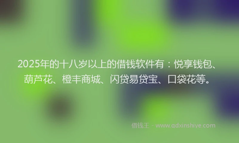 2025年的十八岁以上的借钱软件有：悦享钱包、葫芦花、橙丰商城、闪贷易贷宝、口袋花等。