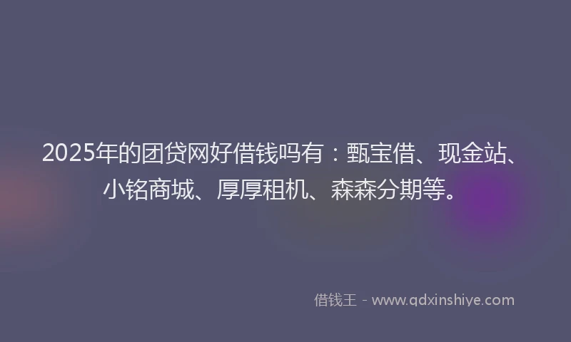 2025年的团贷网好借钱吗有：甄宝借、现金站、小铭商城、厚厚租机、森森分期等。