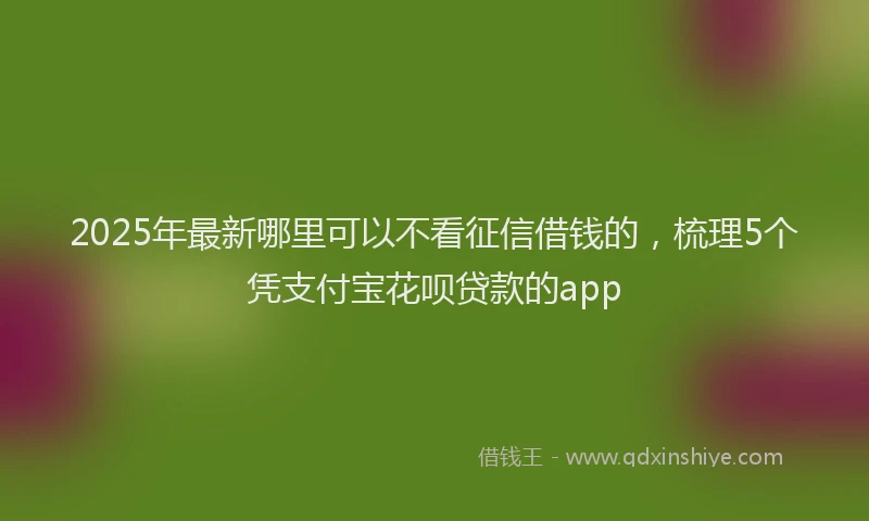 2025年最新哪里可以不看征信借钱的，梳理5个凭支付宝花呗贷款的app