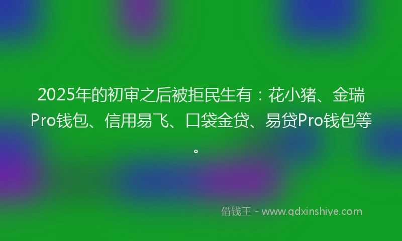 2025年的初审之后被拒民生有：花小猪、金瑞Pro钱包、信用易飞、口袋金贷、易贷Pro钱包等。