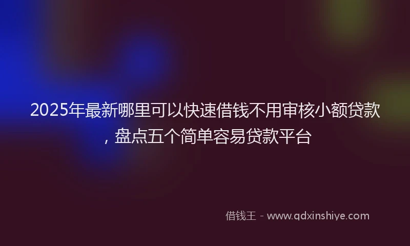 2025年最新哪里可以快速借钱不用审核小额贷款，盘点五个简单容易贷款平台