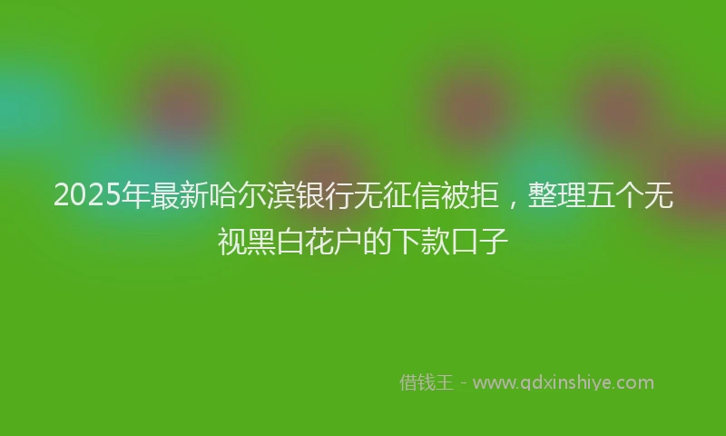 2025年最新哈尔滨银行无征信被拒，整理五个无视黑白花户的下款口子