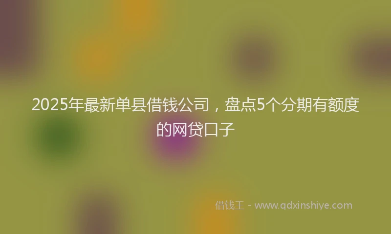 2025年最新单县借钱公司，盘点5个分期有额度的网贷口子