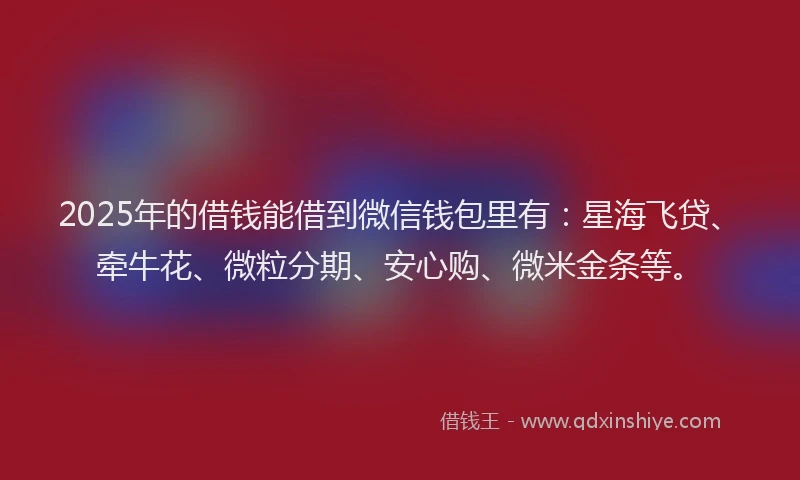 2025年的借钱能借到微信钱包里有：星海飞贷、牵牛花、微粒分期、安心购、微米金条等。