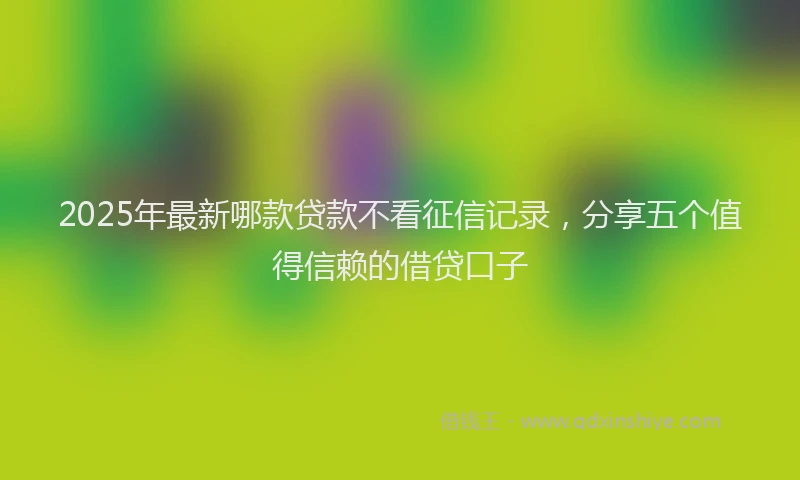 2025年最新哪款贷款不看征信记录，分享五个值得信赖的借贷口子