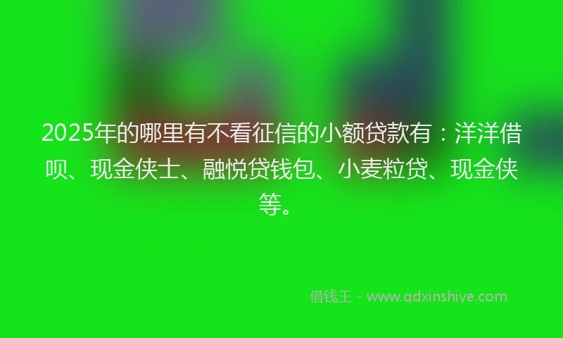 2025年的哪里有不看征信的小额贷款有：洋洋借呗、现金侠士、融悦贷钱包、小麦粒贷、现金侠等。