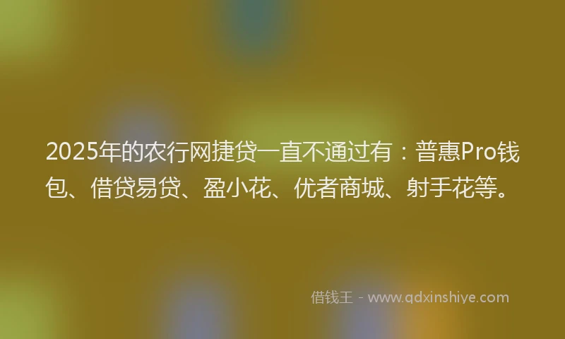 2025年的农行网捷贷一直不通过有：普惠Pro钱包、借贷易贷、盈小花、优者商城、射手花等。