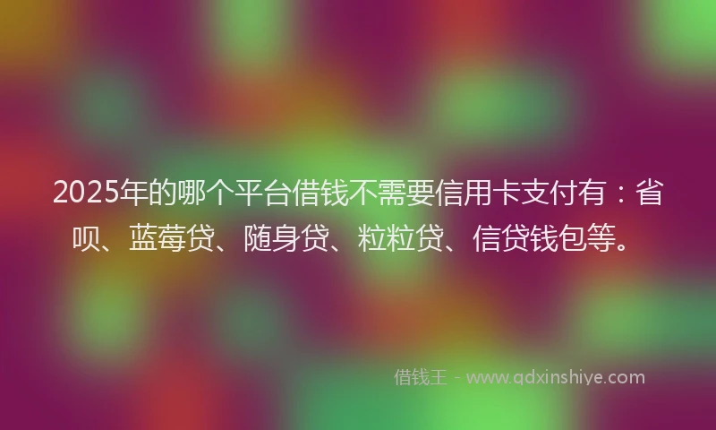 2025年的哪个平台借钱不需要信用卡支付有：省呗、蓝莓贷、随身贷、粒粒贷、信贷钱包等。