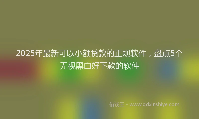2025年最新可以小额贷款的正规软件，盘点5个无视黑白好下款的软件