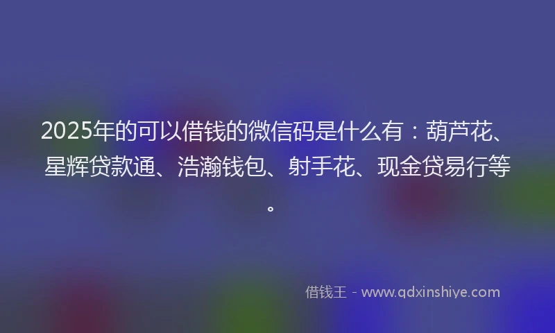 2025年的可以借钱的微信码是什么有：葫芦花、星辉贷款通、浩瀚钱包、射手花、现金贷易行等。